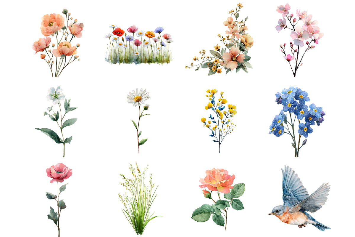 Wild Flowers Nature Clipart, an Illustration by DreamArtGraphic (Photo 3 of 4)