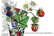 Watercolor Forest berryes, a Food Illustration by FineArt (Thumbnail 7 of 8)