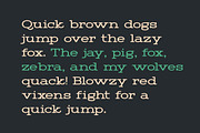 Rymor Display Font, a Serif Font by Webhance Studio (Thumbnail 4 of 8)