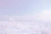 5 Pastel Winter Landscapes, a Background Photo by Fun Fusion Design (Thumbnail 2 of 6)