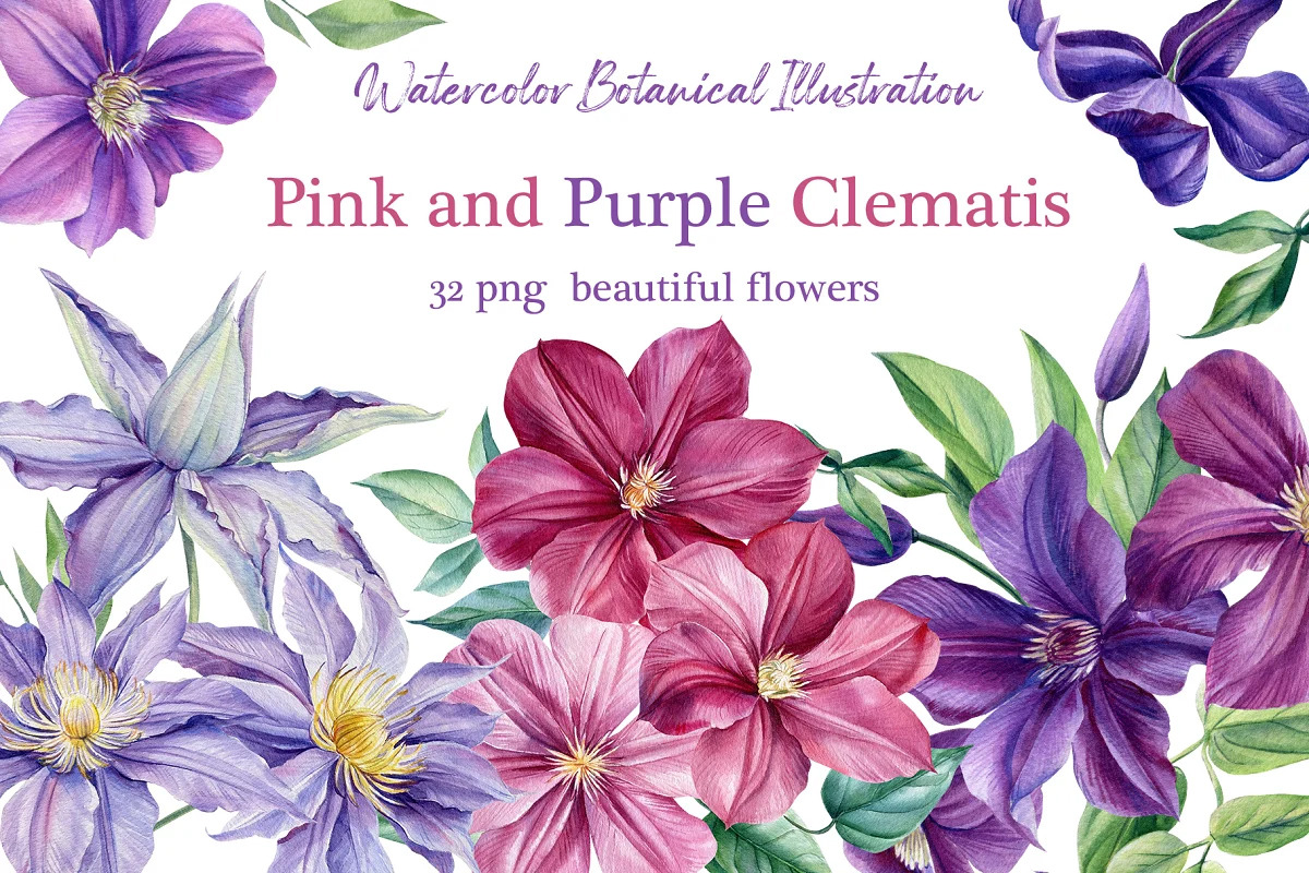 Bundle floral illustration, a Decorative Illustration by Hanna Hryharenka (Photo 8 of 10)
