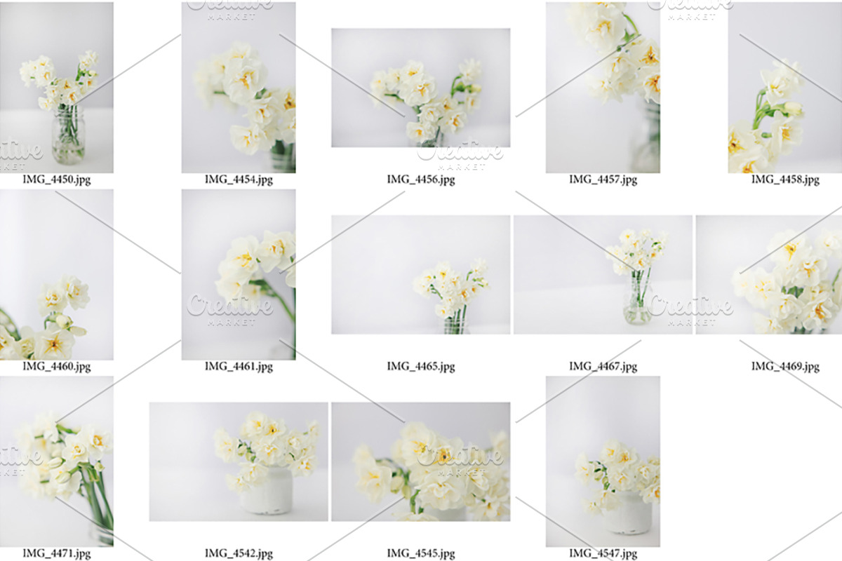 Uncommon Daffodil Styled Stock, a Nature Photo by Susie Design Co (Photo 2 of 2)