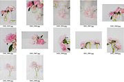 Peony Perfection Styled Stock, a Nature Photo by Susie Design Co (Thumbnail 3 of 3)