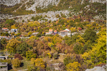 Beautiful autumn view on the yellow, a Nature Photo by Elizaveta Galitskaya