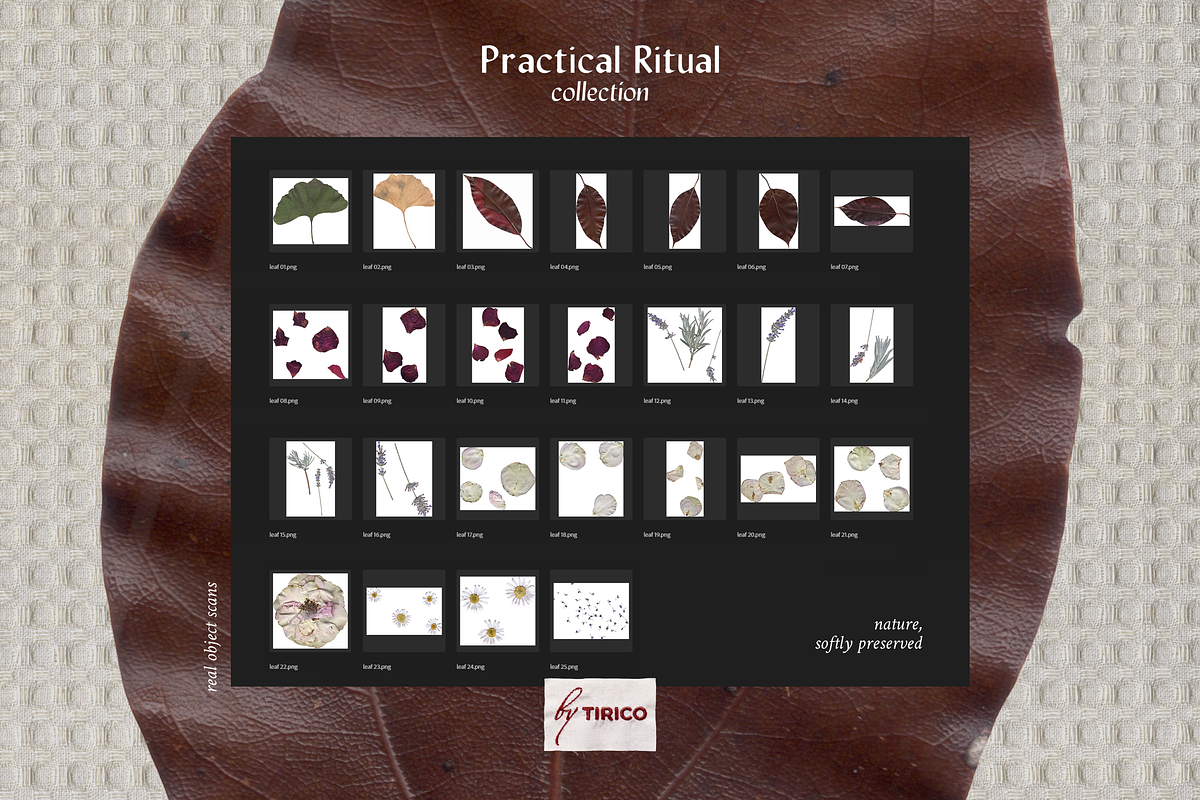 Practical Ritual: Collection, an Object Graphic by TiriCo (Photo 6 of 12)