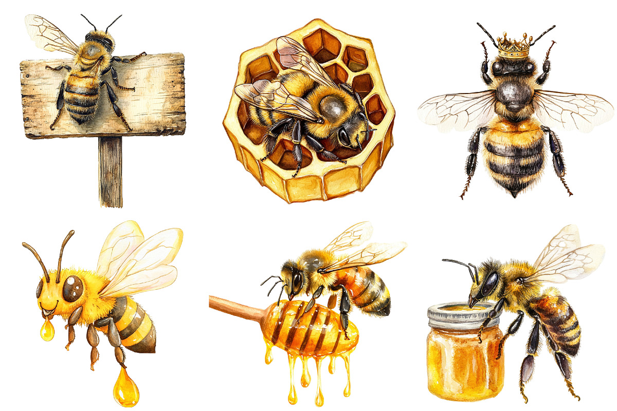 Honey Bee Clipart PNG, an Illustration by SinaCreation (Photo 3 of 5)