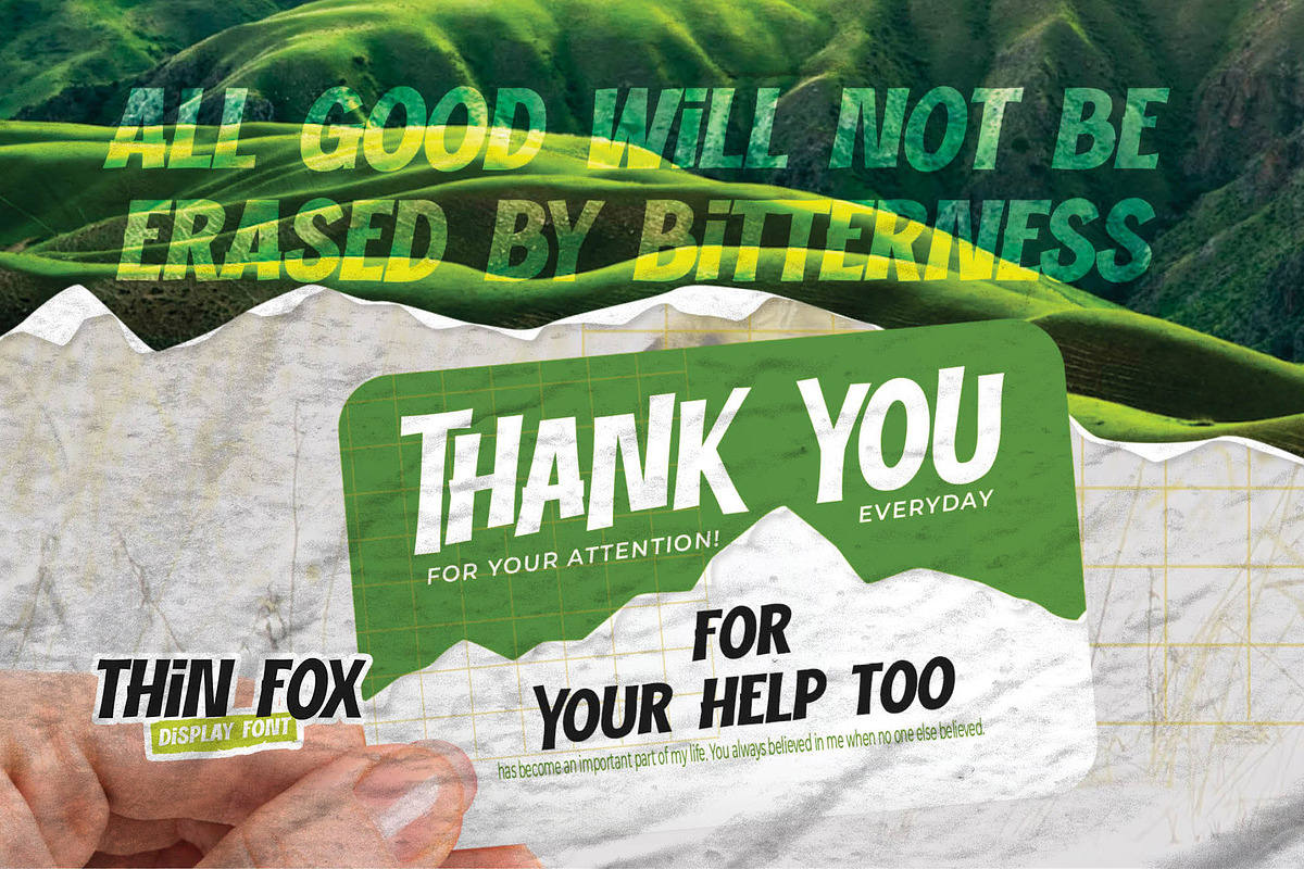 THIN FOX - Display Font, a Font by Gassstype (Photo 8 of 8)