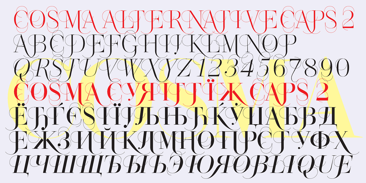 Cosma, a Serif Font by Wiescher-Design (Photo 11 of 11)