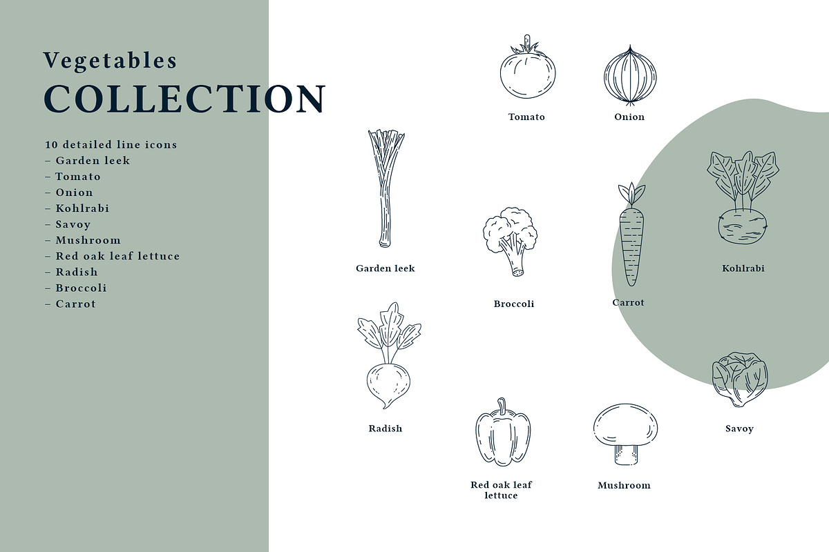 The Vegetables Collection, a Food Illustration by dicreate (Photo 6 of 14)