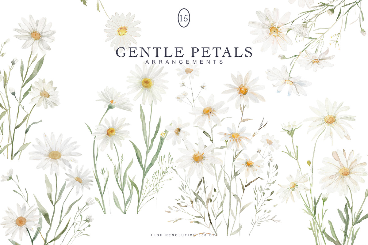 watercolor daisy clipart set, a Decorative Illustration by Patishop Art (Photo 1 of 6)