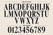 Agency Vinatge Serif Display, a Serif Font by Luna Shop (Thumbnail 4 of 9)