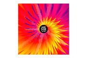 TIE DYE BACKGROUNDS, a Pattern Graphic by Little Type Factory (Thumbnail 5 of 5)