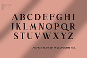 Along Serif BSC Font Family, a Serif Font by Ryul Davidson (Thumbnail 5 of 13)