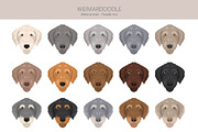 Weimardoodle. Weimaraner Poodle mix, an Illustration by pet design shop (Thumbnail 5 of 6)