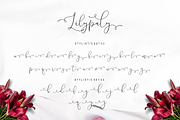 Lilypaly - Handlettering Font, a Script Font by Sronstudio (Thumbnail 17 of 19)