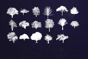 89 Procreate Tree Stamps Brushes