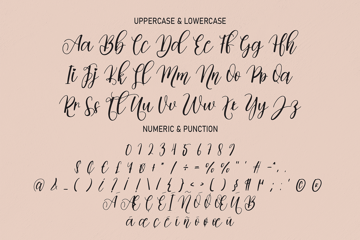 Belgian | Script Font, a Script Font by Scratchones (Photo 8 of 8)
