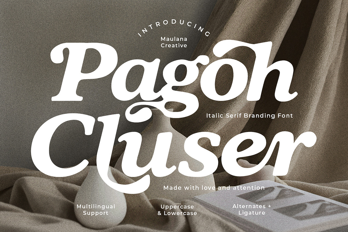 Pagoh Cluser Elegant Italic Serif, a Serif Font by Maulana Creative (Photo 1 of 7)