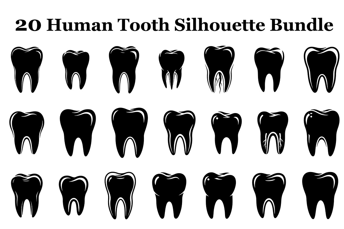 Human tooth dental silhouette, a Graphic by hafijul (Photo 10 of 10)