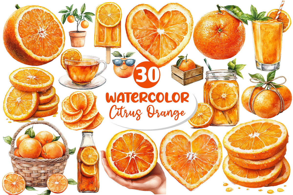 Watercolor Citrus Orange Clipart, an Illustration by Dream Creation (Photo 1 of 6)