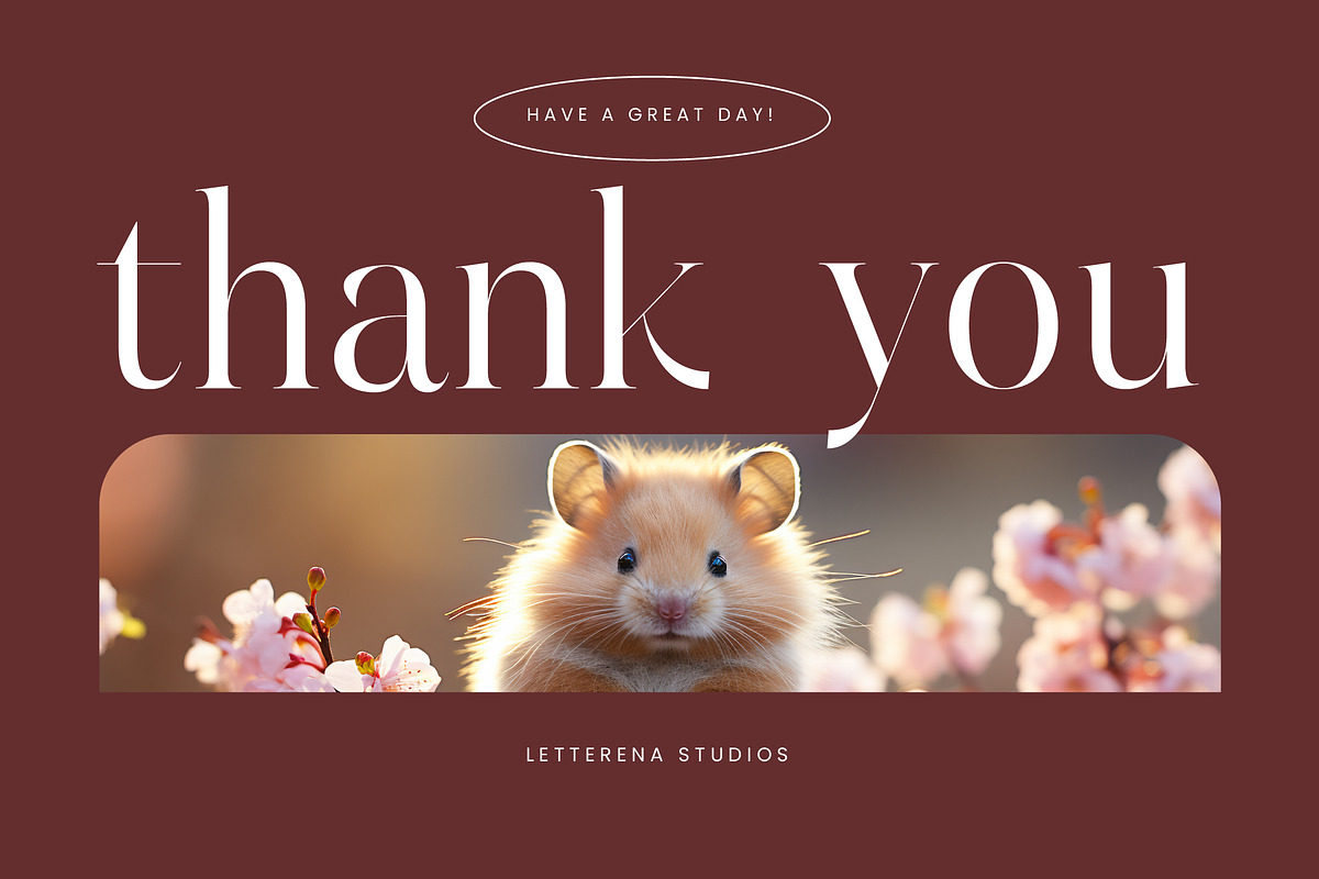 Hamster Modern Serif Font, a Serif Font by Letterena Studios (Photo 15 of 15)