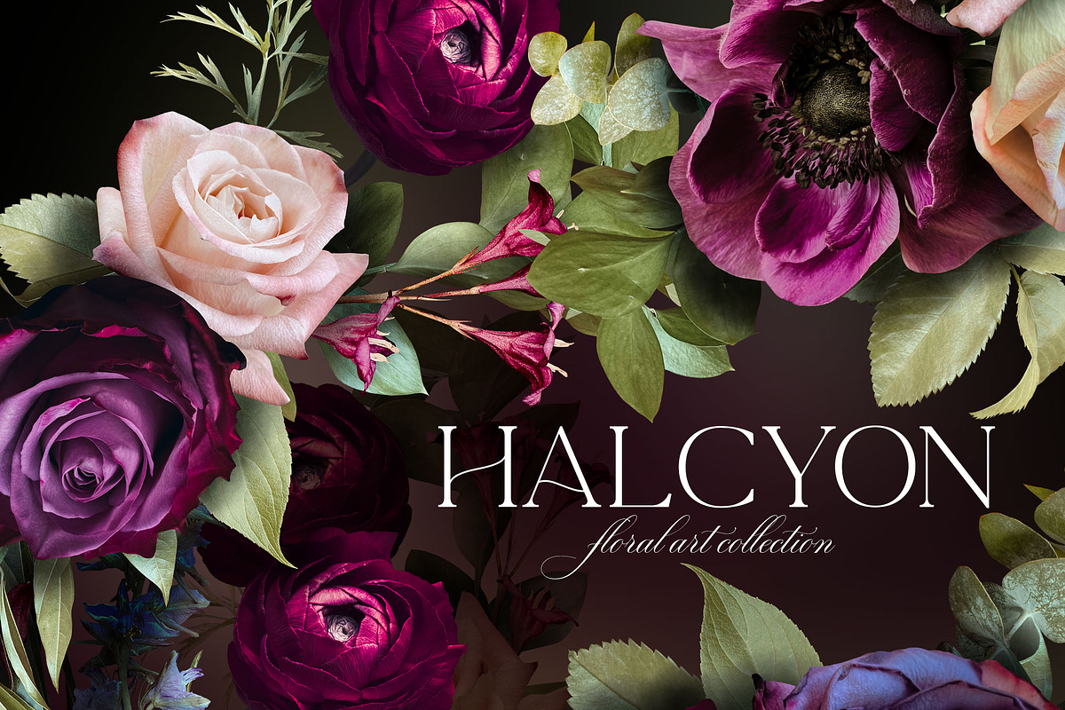Halcyon Floral Art Collection, an Object Graphic by Eclectic Anthology (Photo 17 of 17)