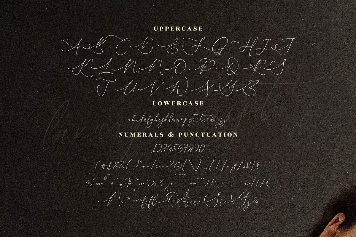 Clements Morgle Font Duo, a Serif Font by Storytype Studio (Photo 14 of 15)