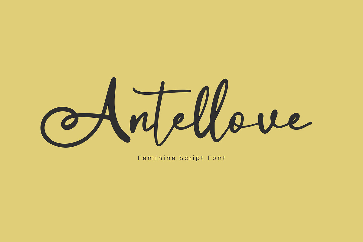 Antellove Feminine Script Font, a Script Font by NTC Graphic (Photo 1 of 9)