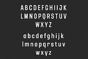 YNF Dustin | Condensed sans serif, a Sans Serif Font by YNF (Thumbnail 3 of 26)
