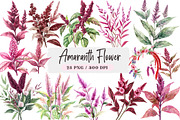 Amaranth Flower Watercolor Png, an Illustration by DreamArtGraphic (Thumbnail 1 of 4)