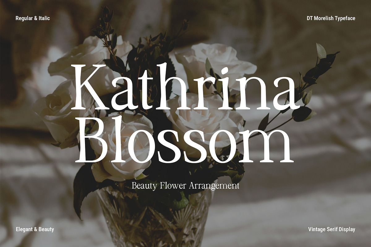 DT Morelish - Serif Display, a Serif Font by Dryy.type (Photo 8 of 12)
