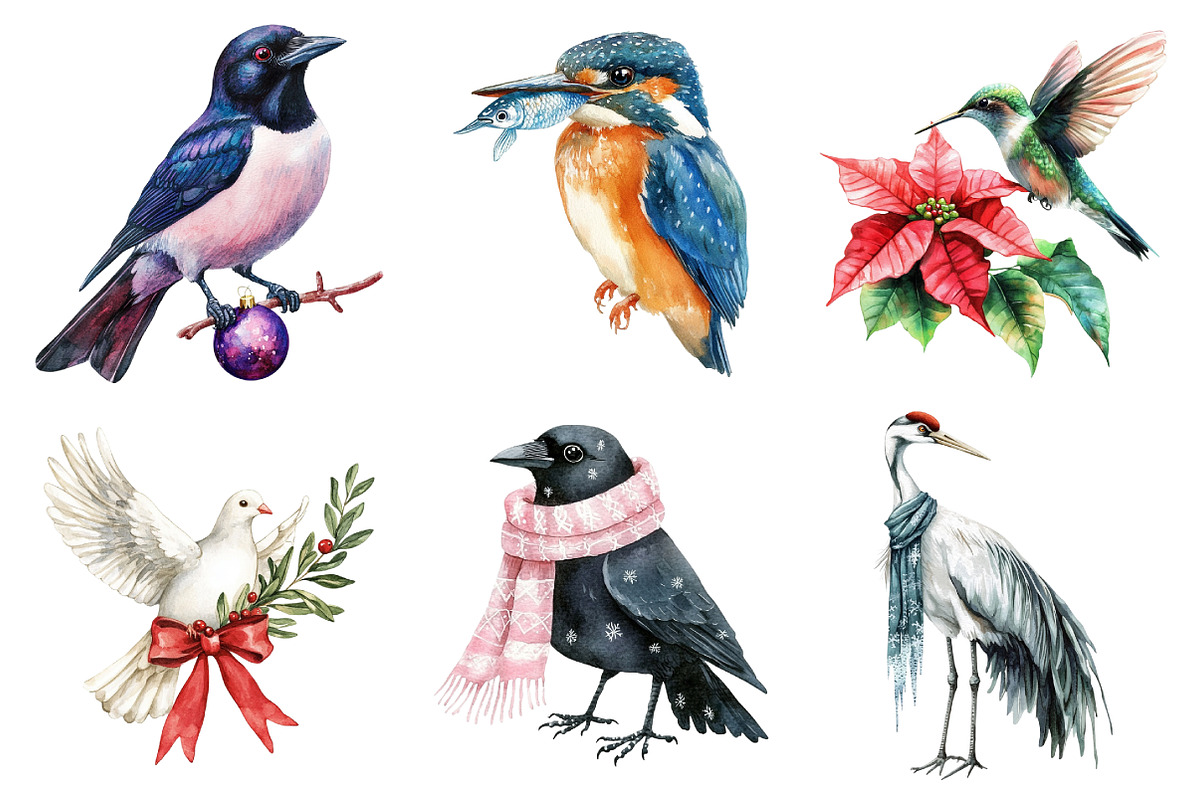 Christmas Birds Sublimation Clipart, an Illustration by Daily.Designs (Photo 2 of 5)