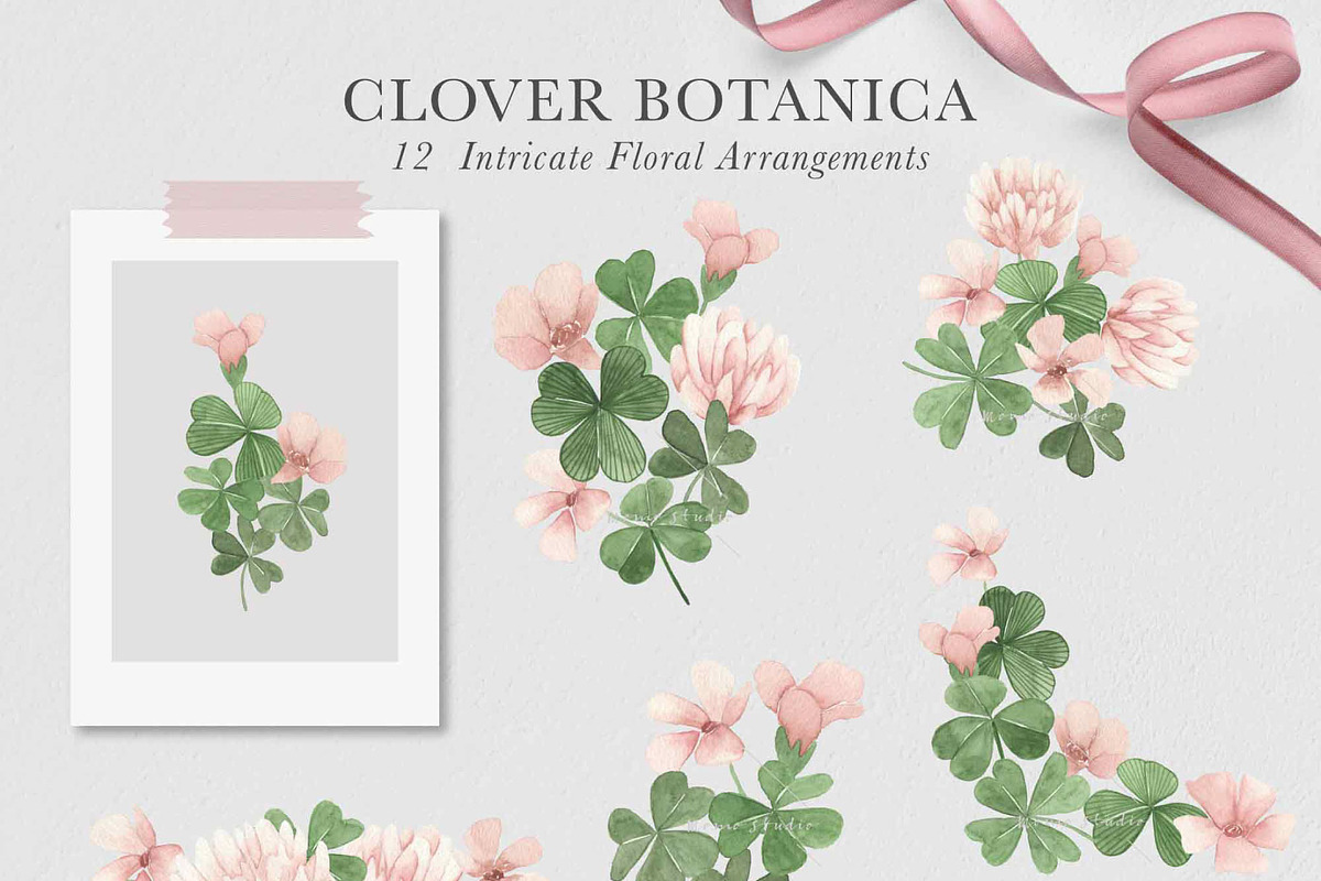 Clover Botanista - Leaves & Florals, an Illustration by Momo Studio (Photo 4 of 12)