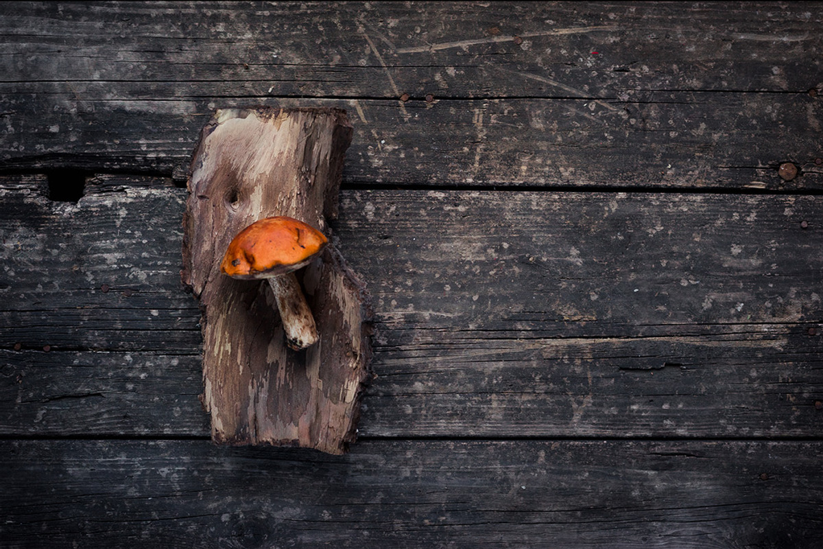 10 Dark tones presets for Lightroom, an Action Add-On by Elijah (Photo 5 of 19)