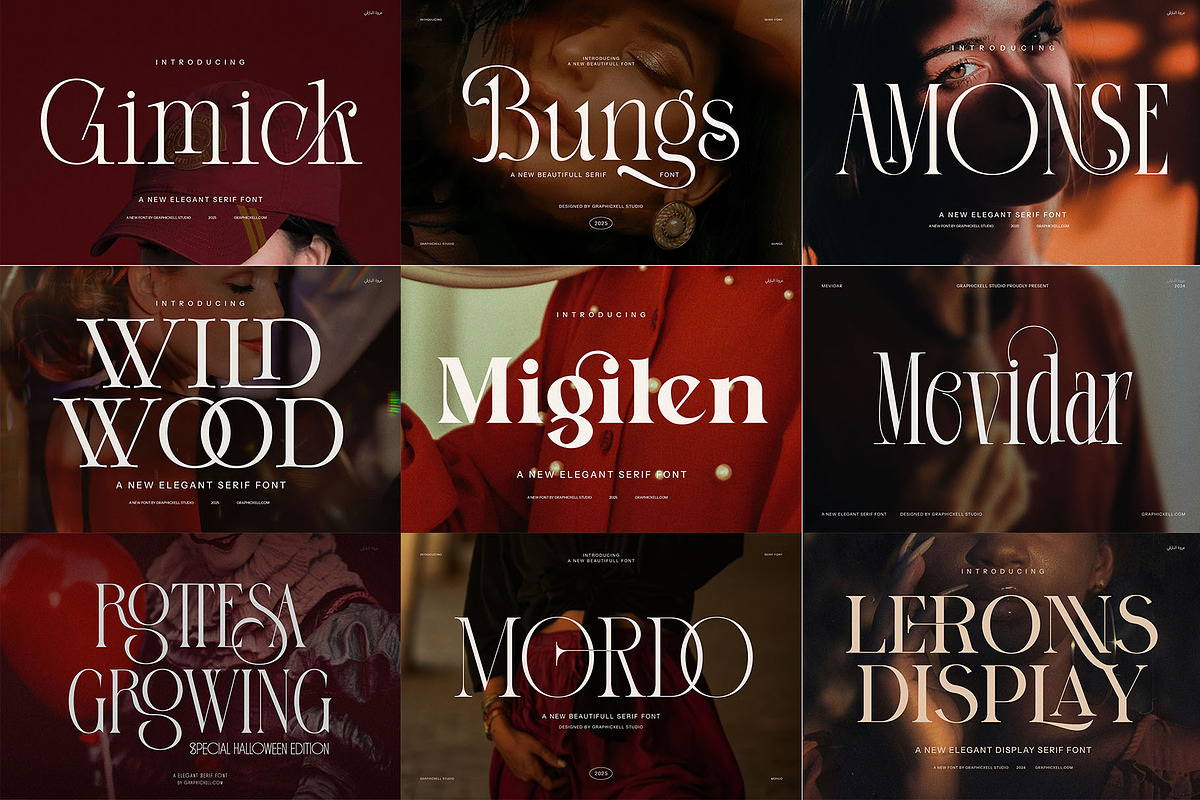 100+ Premium Serif Font Bundle, a Serif Font by Graphicxell (Photo 2 of 12)