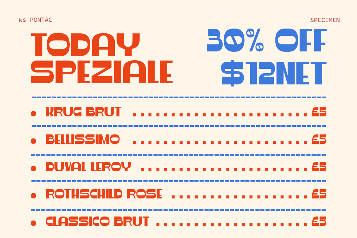 WS Pontac, a Sans Serif Font by Wasabib Studio (Photo 7 of 8)