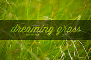 Dreaming grass no.2 - 10 photoset