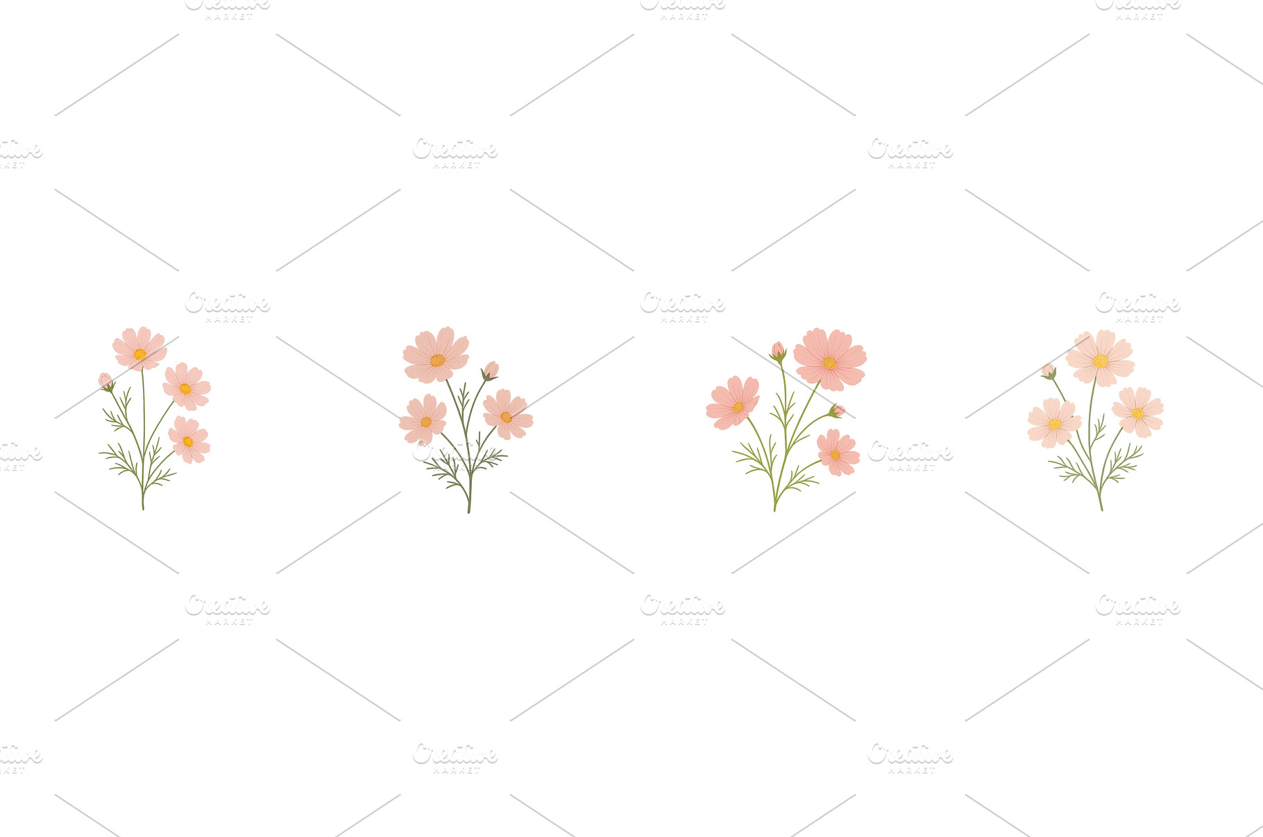 Delicate pink cosmos flowers, a Nature Photo by ZinetroN