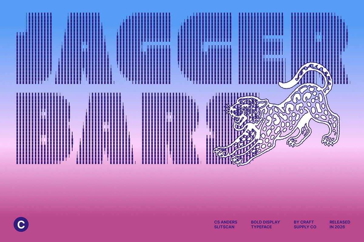 CS Anders Slitscan, a Sans Serif Font by Craft Supply Co. (Photo 2 of 8)