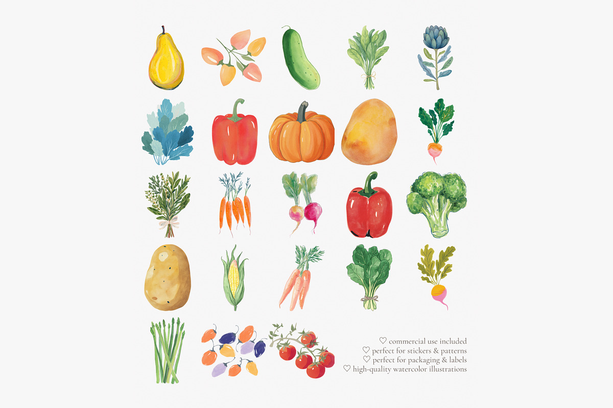 Watercolor vegetable clipart set, a Decorative Illustration by Patishop Art (Photo 8 of 8)