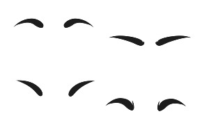 Eyebrows Set 1 Procreate Brush Stamp