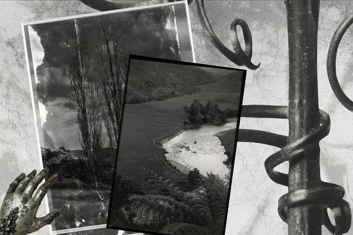 Mystic Botanical & Nature Relics, an Object Graphic by Natali Batu (Photo 12 of 12)