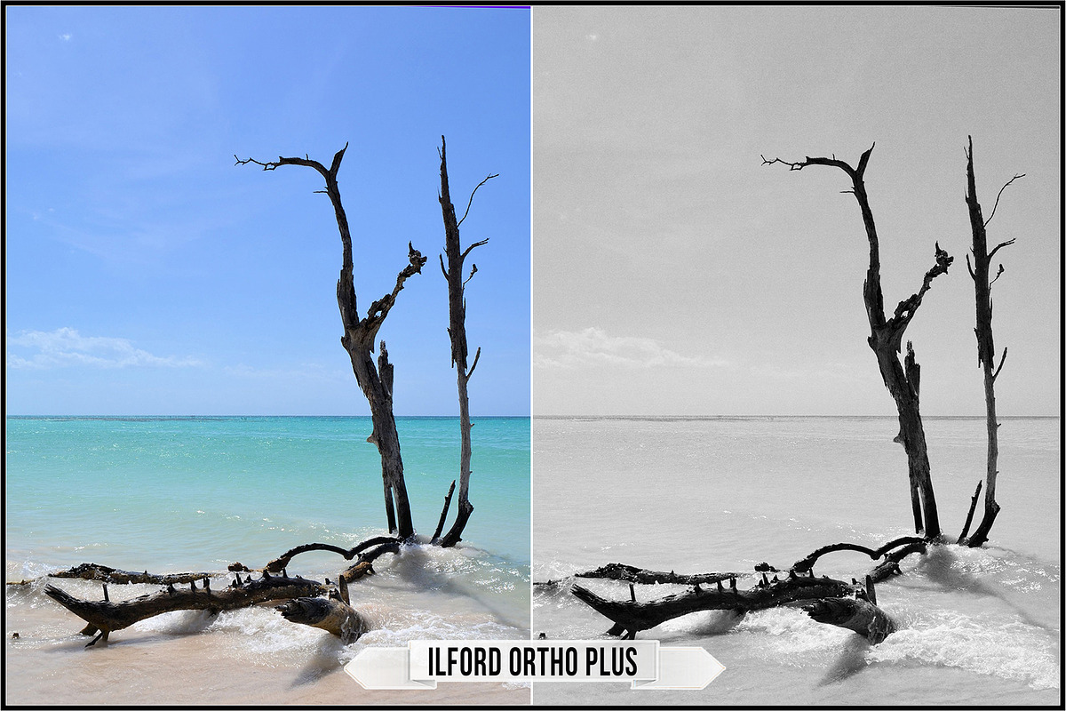 Ilford Films LUTs, a Plug-in Add-On by Raztrend (Photo 11 of 30)