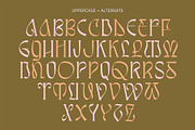 Awsirnam - Aesthetic Serif Font, a Serif Font by Enxyclo Studio (Thumbnail 23 of 29)
