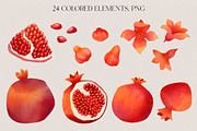 Watercolor Pomegranate clipart, a Decorative Illustration by LukaJreym (Thumbnail 3 of 10)