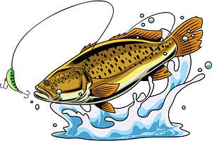 Golden Brown Bass Fish, an Illustration by HitToon