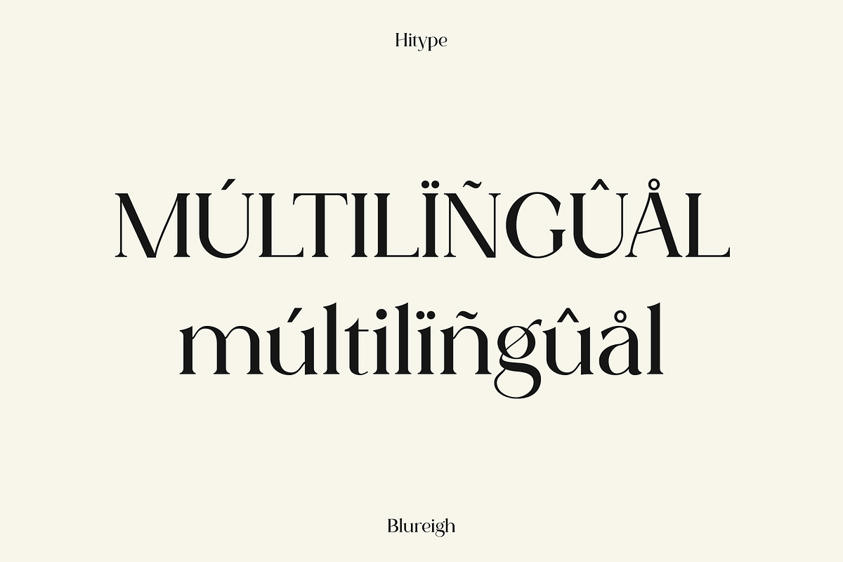 Blureigh Typeface - Hitype, a Serif Font by Hitype (Photo 10 of 10)