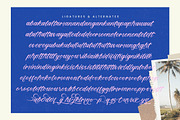Delighta Modern Handwritten Font, a Script Font by stylishtype.co (Thumbnail 14 of 15)