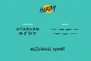Harley - Stylish Brush, a Script Font by ARSAVISUAL (Thumbnail 9 of 9)