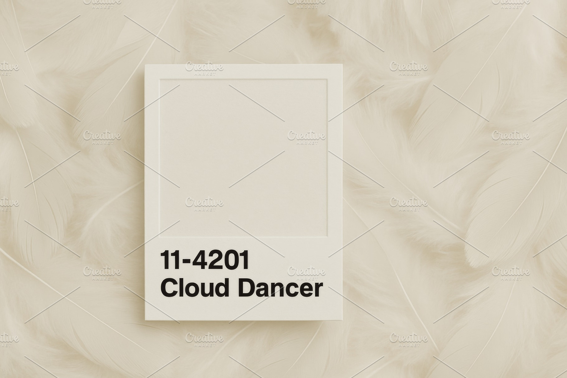 Frame of color number on feather background, a Photo by Dvoevnore photos